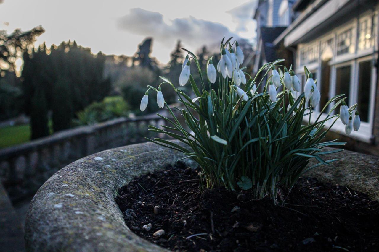 Rowhill Grange Hotel & Utopia Spa Dartford Bagian luar foto